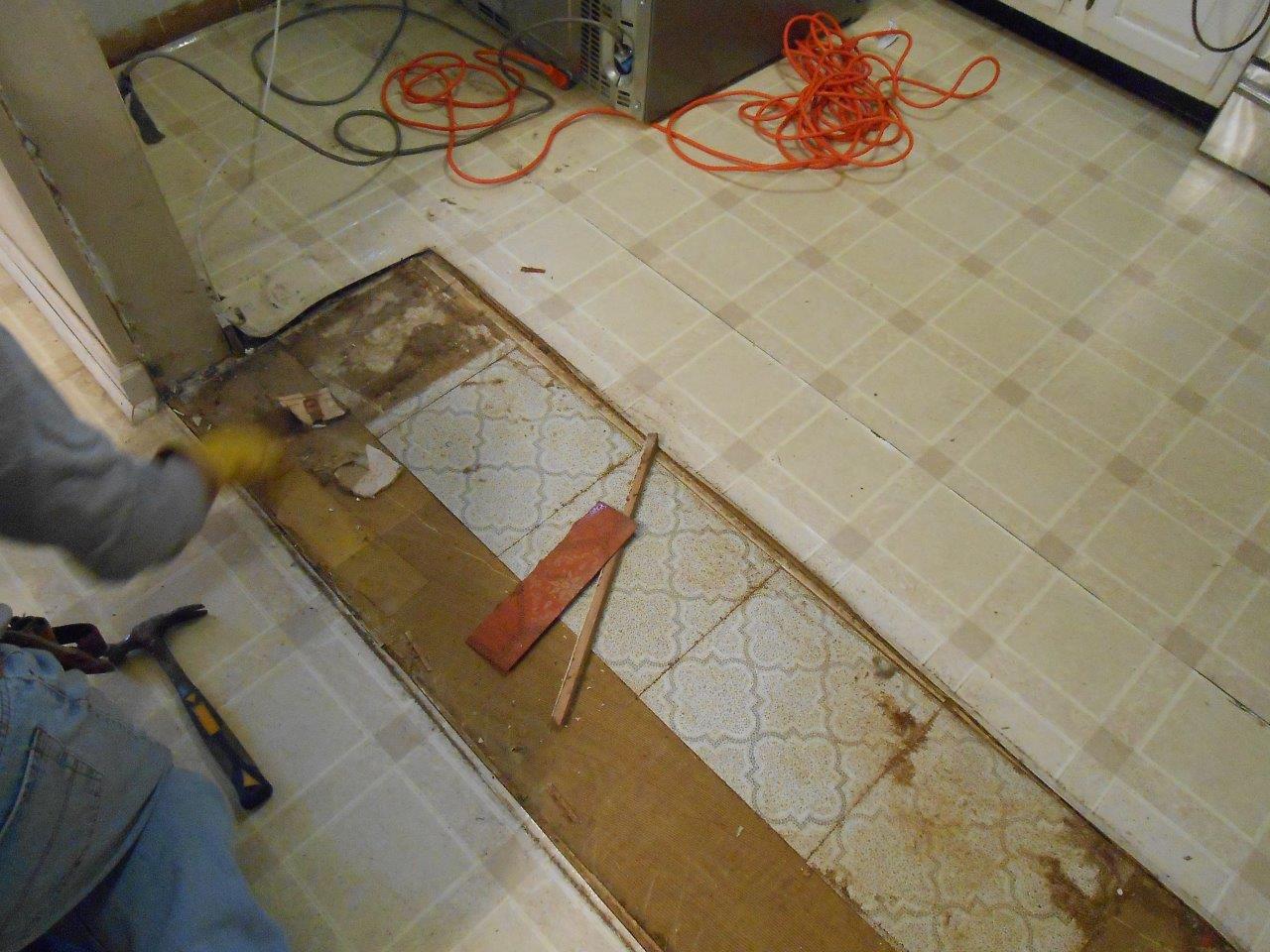 Kitchen Demo 140208 (10)