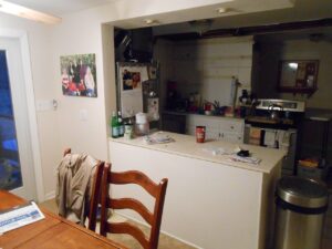 Kitchen Demo 140208 (3)